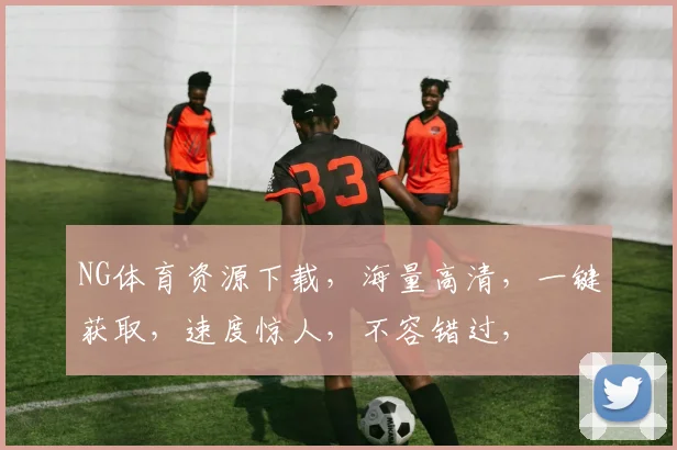 NG体育资源下载，海量高清，一键获取，速度惊人，不容错过，