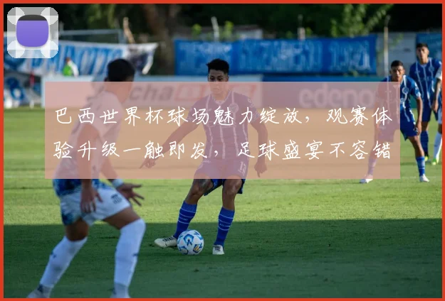 巴西世界杯球场魅力绽放，观赛体验升级一触即发，足球盛宴不容错过