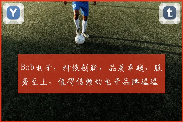 Bob电子，科技创新，品质卓越，服务至上，值得信赖的电子品牌逗逗逗