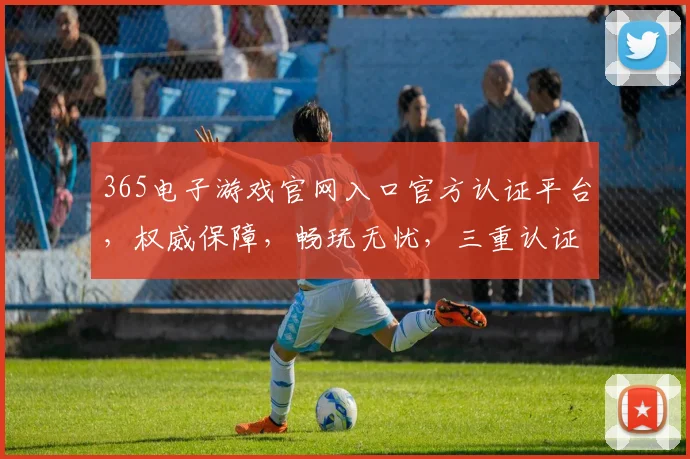 365电子游戏官网入口官方认证平台，权威保障，畅玩无忧，三重认证，安全可靠，必看攻略