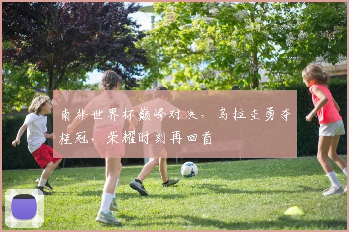 南非世界杯巅峰对决，乌拉圭勇夺桂冠，荣耀时刻再回首