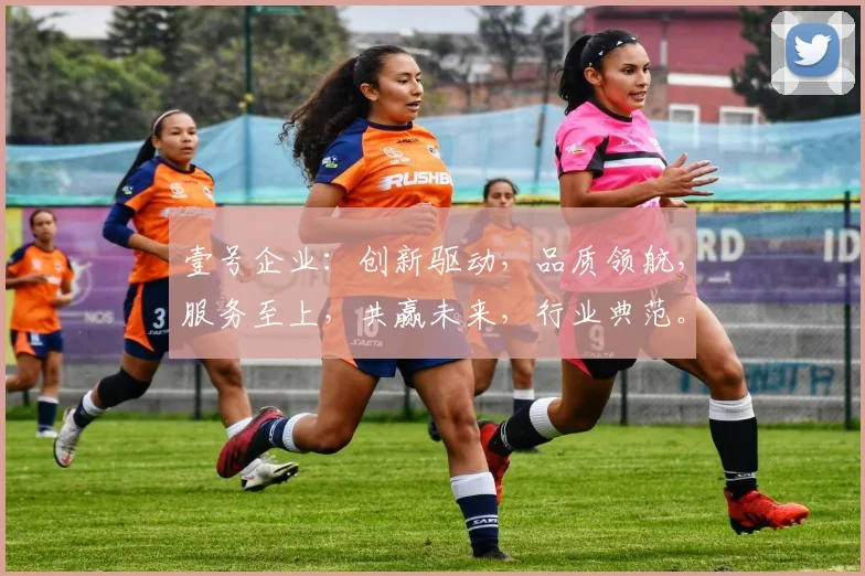 壹号企业：创新驱动，品质领航，服务至上，共赢未来，行业典范。